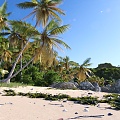 Modern Beach Seaside Coconut Tree Beach 3d model