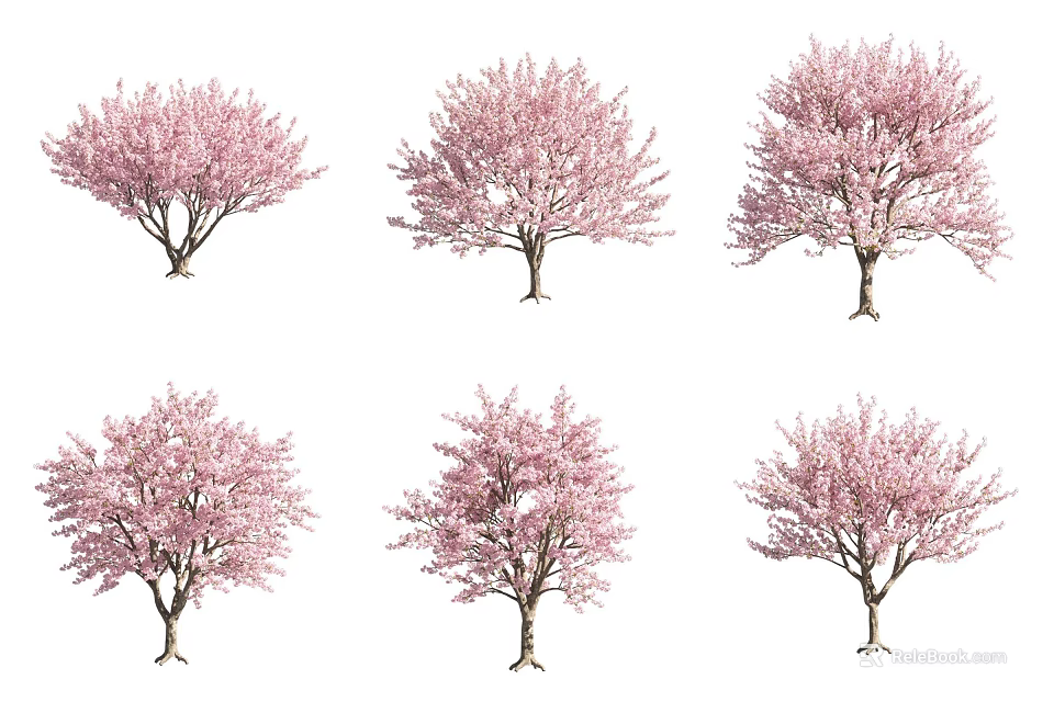 Beautiful Vibrant Pink Flowering Trees With Lush Blossoms In Spring Garden Scenery 3d model 