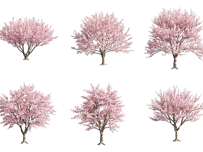 Beautiful Vibrant Pink Flowering Trees With Lush Blossoms In Spring Garden Scenery 3d model