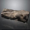 Natural Wooden Stone Log With Natural Texture And Knots On Black Reflective Surface Background