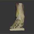 Anatomical Foot Organ Model Showing Muscles Vessels And Hair Structure