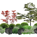 Garden Shrubs with Red Maple Trees Green Foliage Rocks and Grasses