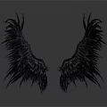 Black Bird With Symmetrical Feathery Wings On White Background And Reflection