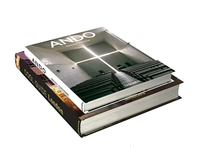 ANDO Architecture Book Showcasing Modern Architectural Interior With Cross Light 3d model