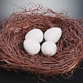 Bird Nest Made Of Straw Containing Four White Eggs On Dark Background