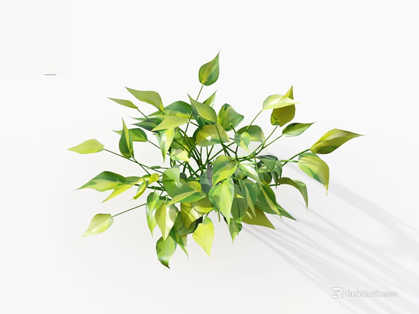 Potted Green Plant With Yellow And Green Leaves For Home Decoration 3d model 