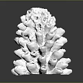 White Textured Plant Sculpture with Detailed Protrusions on Black Polished Surface and Reflection