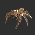 Detailed Brown Reptile 3D Model With Long Legs And Textured Body On Black Background