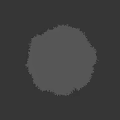 Green Round Shrub With Lush Dense Foliage Isolated on Black Background