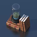 Vintage Stacked Decorative Books With Glass Dome Cover And Small Green Cactus