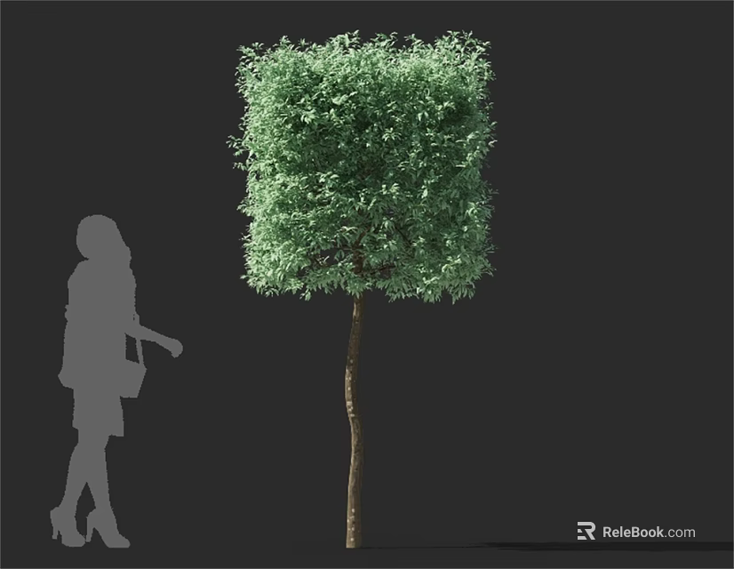 Lush Green Arbor With Rounded Canopy And Human Silhouette For Size Reference 3d model