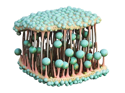 Scientific Cell Structure Model Featuring Green Spherical Bodies And Red Rod Like Components 3d model