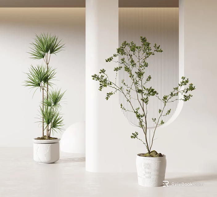 Bonsai Potted Plants with Lush Green Leaves in White Ceramic Pots Modern Home Decor 3d model 