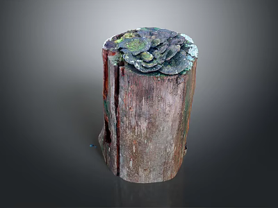 Weathered Wooden Stump With Stone Copper Patina Accents And Natural Grain Texture 3d model