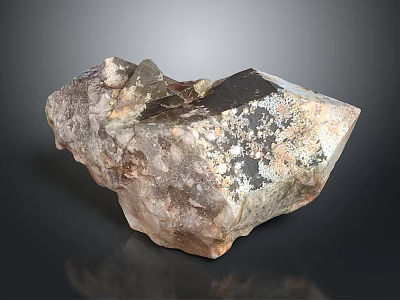 Natural Wooden Stone With Rough Texture And Earthy Tones For Decorative Use 3d model