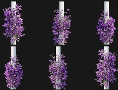 Modern Triangle Plum Vine Climbing Wall Shrub Rhododendron Triangle Plum Blossom Vine Light Leaf Flower Climbing Vine Green Plant Parthenocissus Creeper Vine Plant Climbing Wall 3d model