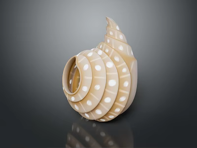 Beautiful Spiral Seashell With White Polka Dots Ivory White Glossy Surface Elegant Design 3d model