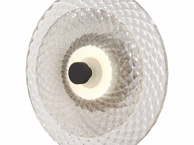 Modern Transparent Textured Glass Wall Lamp With Black Accent And Illuminated Center 3d model