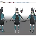Anime Style Game Character With Cat Ears Long Black Hair Teal Cloak And Sword