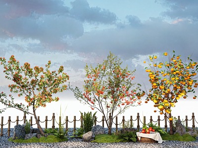 Pomegranate Tree Apple Tree Persimmon Tree Orange Tree Fruit Tree Garden Tree 3d model