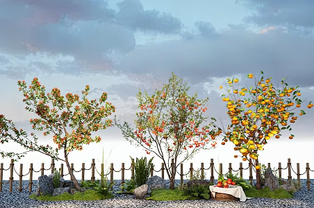 Pomegranate Tree Apple Tree Persimmon Tree Orange Tree Fruit Tree Garden Tree 3d model