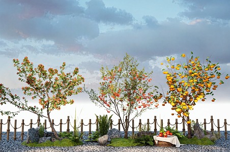 Pomegranate Tree Apple Tree Persimmon Tree Orange Tree Fruit Tree Garden Tree 3d model