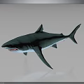 3D Green Shark Model With Open Mouth And Dark Background 3d model