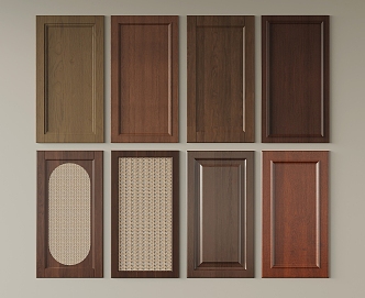 Wood grain door panel combination 3d model