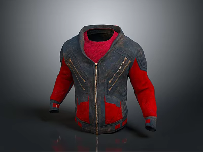 Casual Stylish Blue Red Hooded Jacket With Zipper And Red Lining 3d model