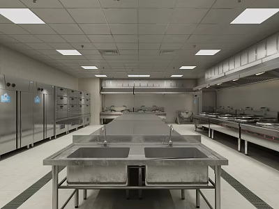 Commercial Restaurant Kitchen With Stainless Steel Worktables Sinks Refrigerators And Lighting 3d model