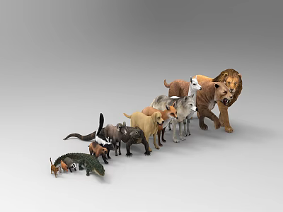 animal fauna reptile 3d model