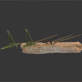 Handmade Insect Model Crafted From Twigs And Sticks Structure 3d model