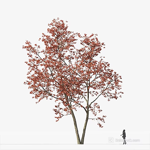 Tall Arbor With Vibrant Red Leaves And Brown Trunk In White Background 3d model 