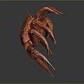 Red Crab With Textured Body Long Legs And Claws On Dark Background