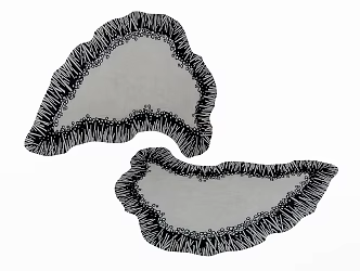 modern shaped carpet 3d model