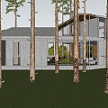 Modern Single Family House Surrounded By Tall Trees With Large Glass Windows And Terrace