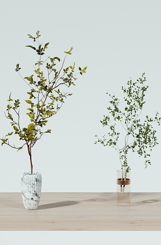 Bonsai 3d model