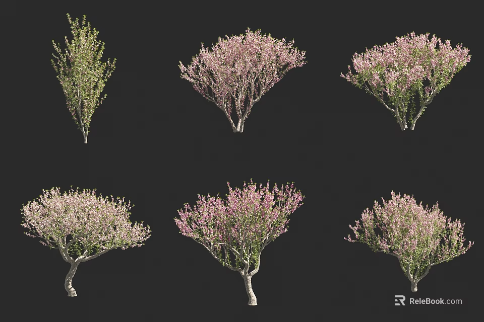 Various Arbor Trees With Pink Blossoms And Green Foliage In Different Shapes 3d model 
