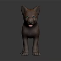 Cute Brown Baby Wolf With Bright Blue Eyes Standing On Gray Surface