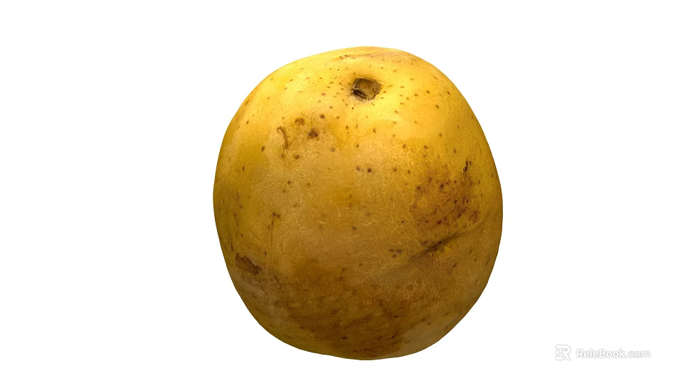 Fresh Yellow Potato with Natural Skin Spots as Nutritious Vegetable Choice for Healthy Diet 3d model 