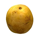 Fresh Yellow Potato with Natural Skin Spots as Nutritious Vegetable Choice for Healthy Diet