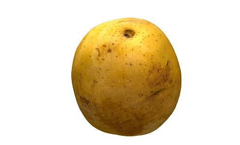 Modern Potato 3d model