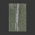 Lush Green Grass Field With White Path Running Through Center Area