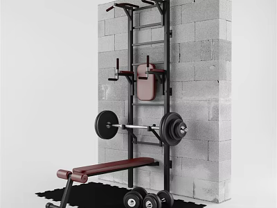 Fitness Equipment For Home Gym With Wall Mounted Rack Pull Up Bar And Weight Bench 3d model
