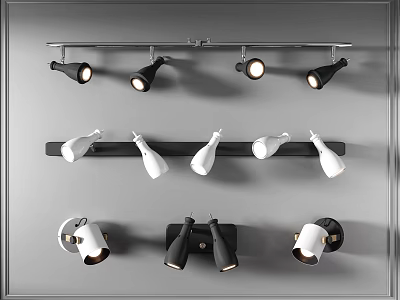 Track And Wall Mounted Downlights Spotlights In Black White For Home Lighting 3d model