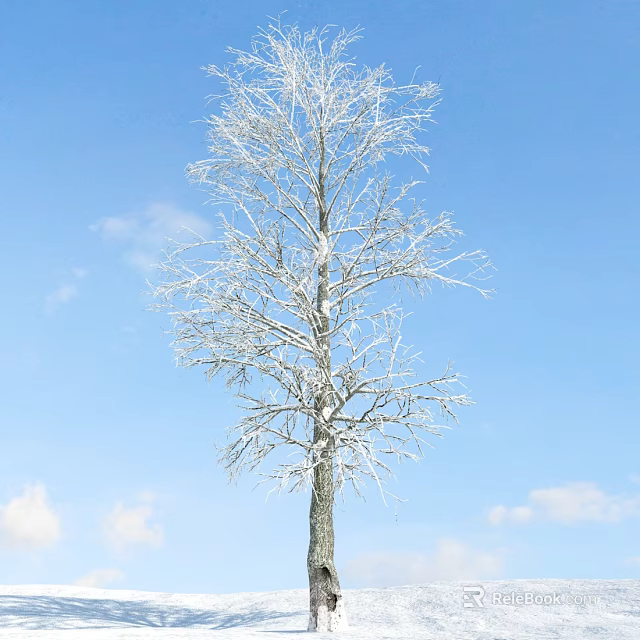 Snow Covered Deciduous Tree Standing Against Clear Blue Sky With White Clouds 3d model 