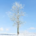 Snow Covered Deciduous Tree Standing Against Clear Blue Sky With White Clouds 3d model