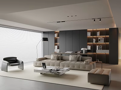 Modern Italian Living Room Sofa Combination Bookcase 3d model