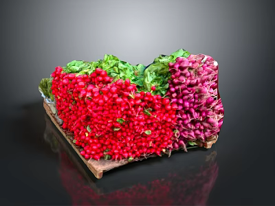 Fresh Red and Purple Radishes With Green Leaves In Wooden Tray 3d model