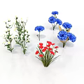Decorative Plants With White Flowers Green Stems Blue And Red Blooms Against White Background